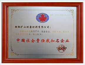 中國(guó)社會(huì)責(zé)任感知名企業(yè)